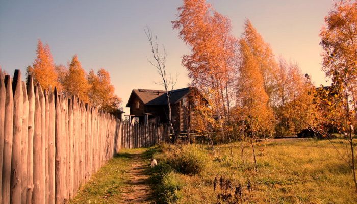 окулова Заимка золотая осень 14