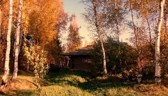 окулова Заимка золотая осень 7