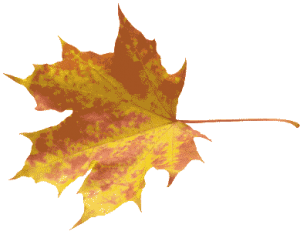 Изба Малая 5-6 Autumn Leaves 018