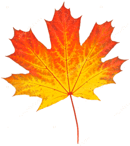 Изба Двоица 11 ОСЕНЬ 36963159 Stock Photo Yellow Autumn Leaf