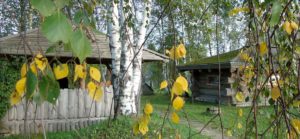 ОСЕНЬ СЛАЙДЕР 1