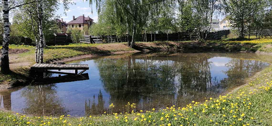 Комфортабельные дома на деревьях (35 фото)