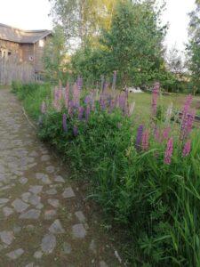 Домик в "Окулова Заимка"